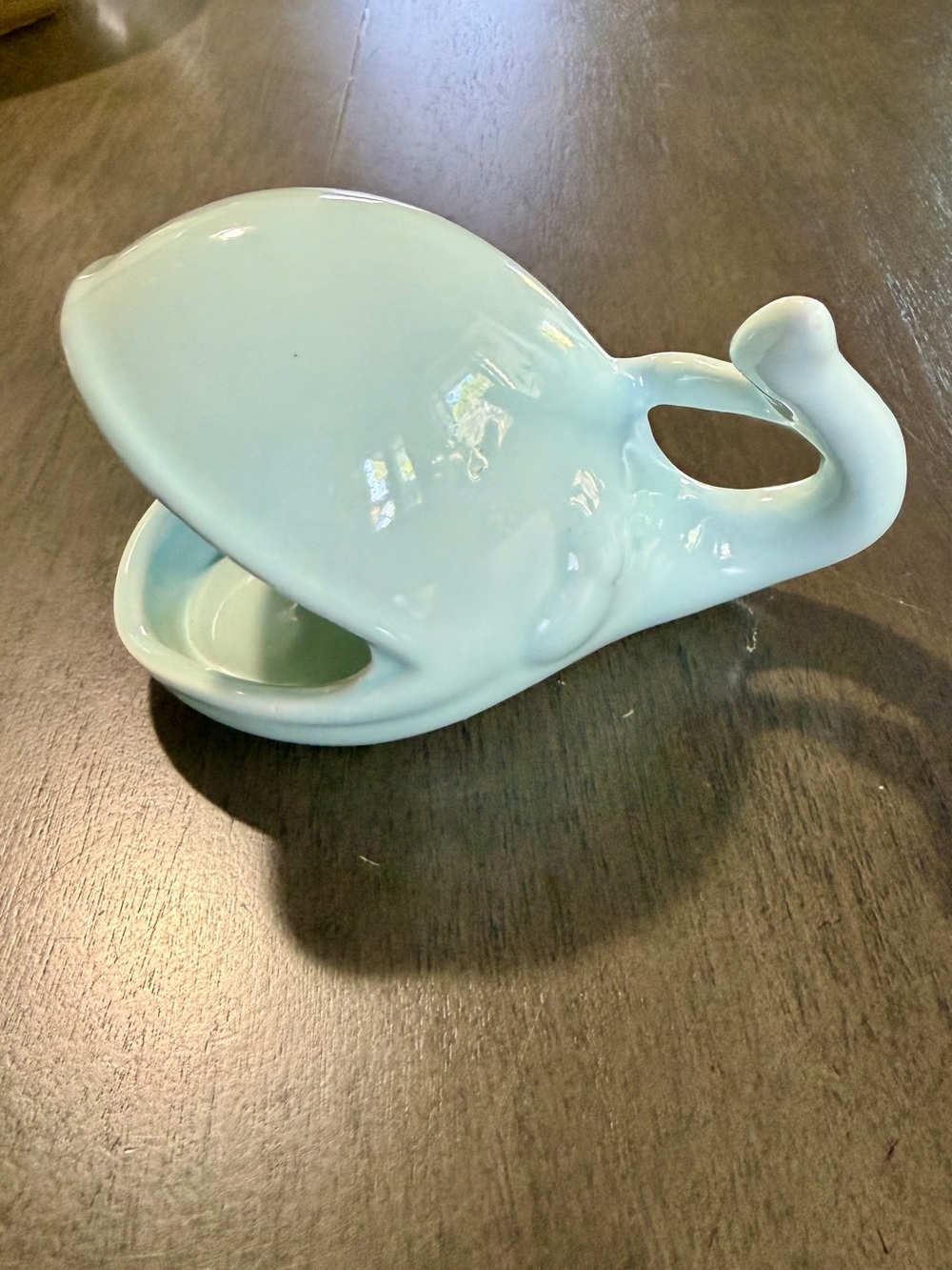 Light Seafoam Green Whale sponge Dish